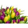 Kytice  tulipánů